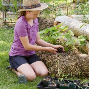 Garden on Straw Image